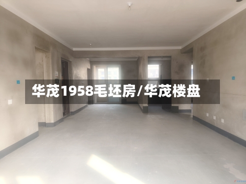 华茂1958毛坯房/华茂楼盘