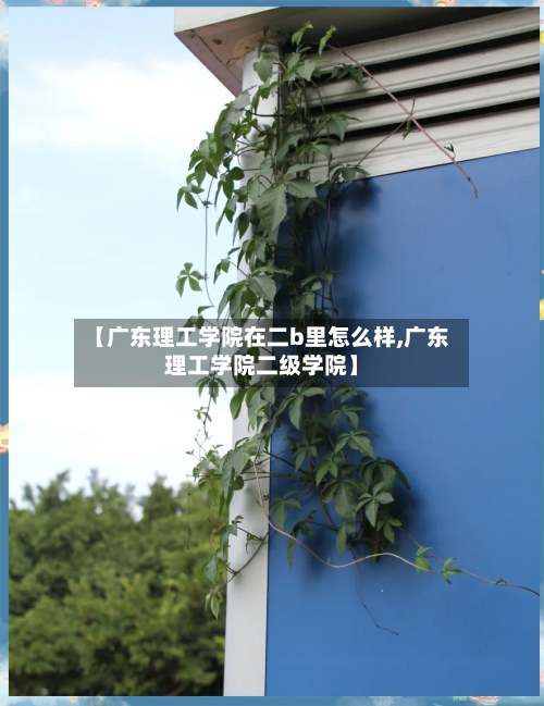 【广东理工学院在二b里怎么样,广东理工学院二级学院】-第3张图片