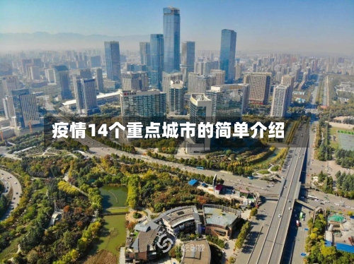 疫情14个重点城市的简单介绍-第1张图片