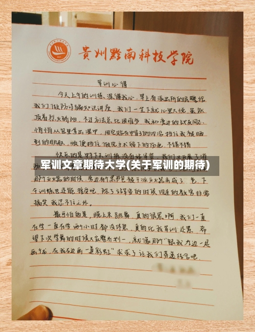军训文章期待大学(关于军训的期待)-第2张图片