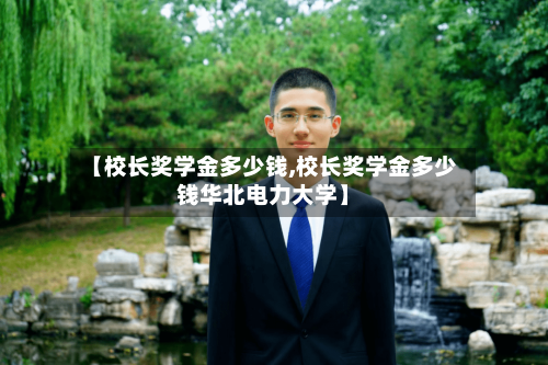 【校长奖学金多少钱,校长奖学金多少钱华北电力大学】-第1张图片
