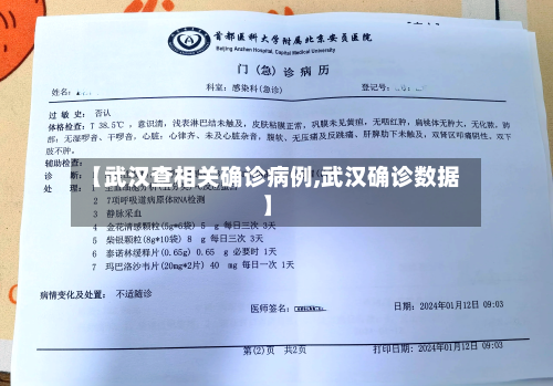 【武汉查相关确诊病例,武汉确诊数据】-第1张图片