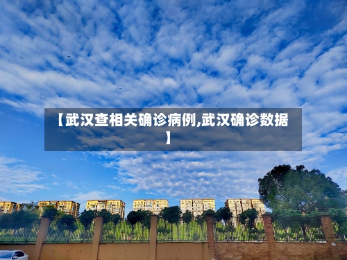 【武汉查相关确诊病例,武汉确诊数据】-第2张图片