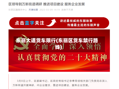 东丽大道货车限行(东丽区货车禁行路线)-第2张图片