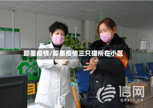 即墨疫情/即墨疫情三只猫所在小区-第2张图片