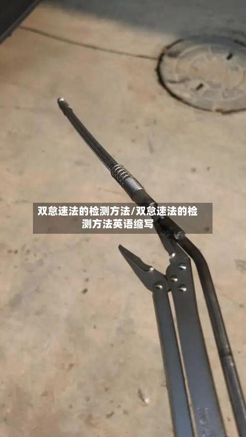 双怠速法的检测方法/双怠速法的检测方法英语缩写-第1张图片