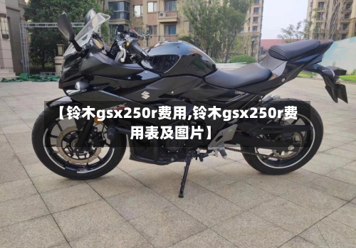 【铃木gsx250r费用,铃木gsx250r费用表及图片】-第1张图片