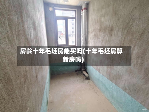 房龄十年毛坯房能买吗(十年毛坯房算新房吗)-第3张图片