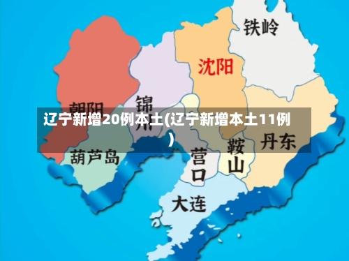 辽宁新增20例本土(辽宁新增本土11例)-第3张图片
