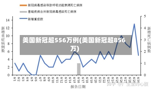美国新冠超556万例(美国新冠超856万)-第2张图片