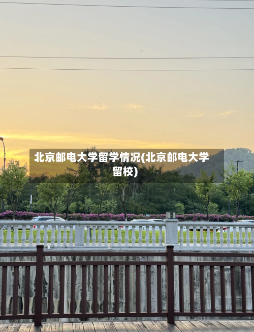 北京邮电大学留学情况(北京邮电大学留校)-第1张图片