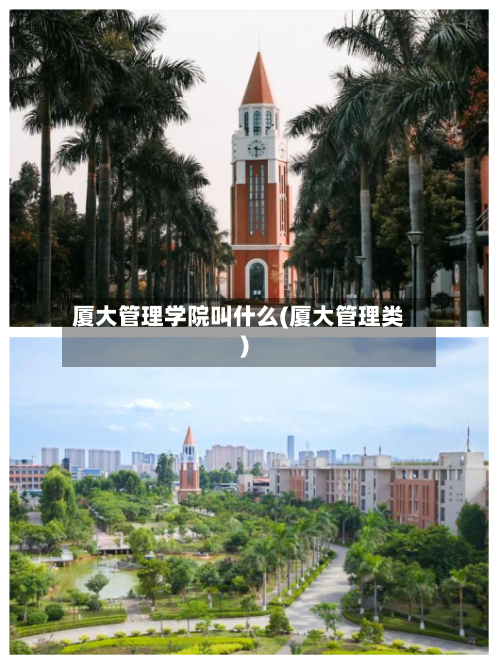 厦大管理学院叫什么(厦大管理类)-第1张图片