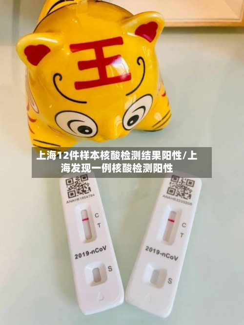 上海12件样本核酸检测结果阳性/上海发现一例核酸检测阳性-第1张图片