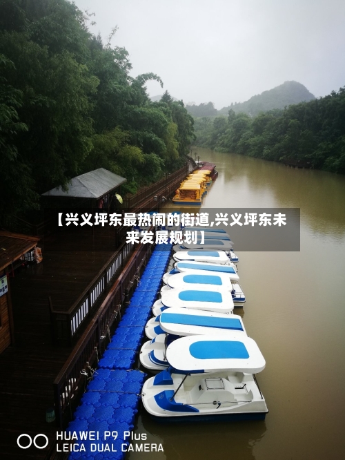【兴义坪东最热闹的街道,兴义坪东未来发展规划】-第3张图片