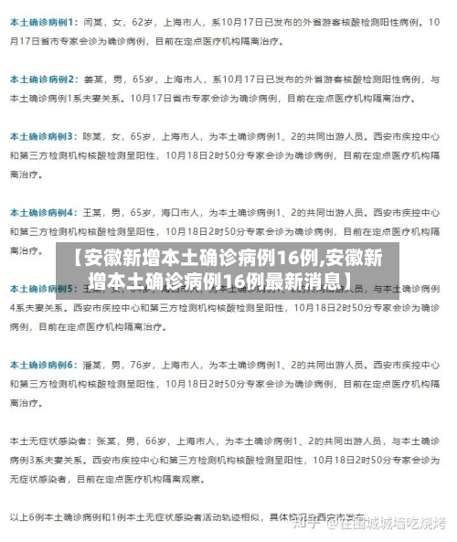 【安徽新增本土确诊病例16例,安徽新增本土确诊病例16例最新消息】-第3张图片