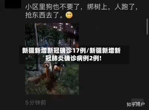 新疆新增新冠确诊17例/新疆新增新冠肺炎确诊病例2例!-第2张图片