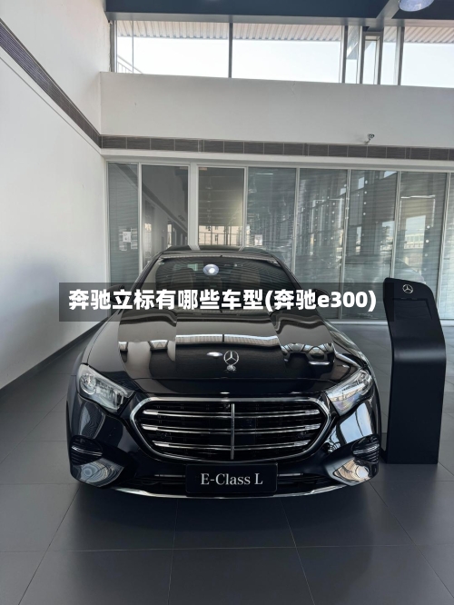 奔驰立标有哪些车型(奔驰e300)-第1张图片