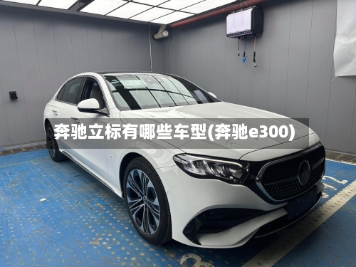奔驰立标有哪些车型(奔驰e300)-第2张图片