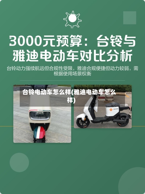 台铃电动车怎么样(雅迪电动车怎么样)-第3张图片