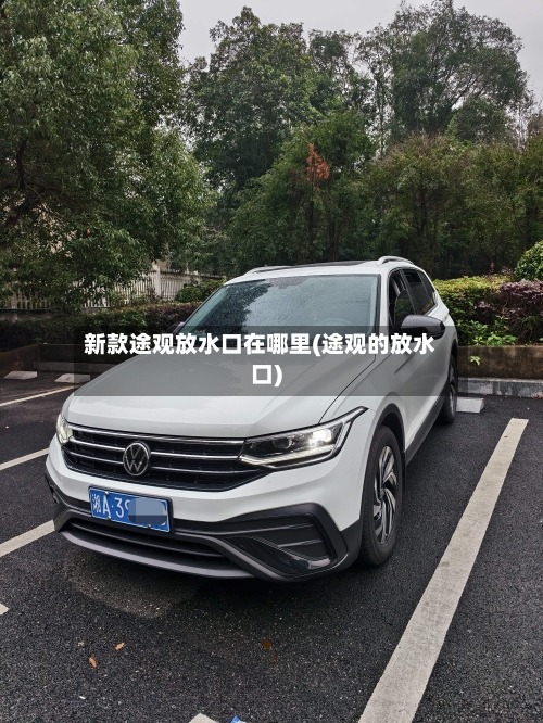 新款途观放水口在哪里(途观的放水口)-第2张图片