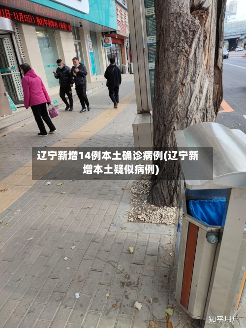 辽宁新增14例本土确诊病例(辽宁新增本土疑似病例)-第2张图片