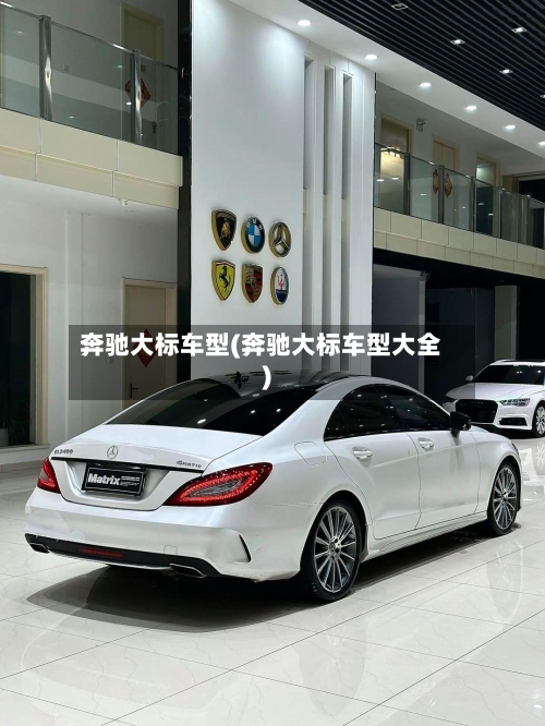 奔驰大标车型(奔驰大标车型大全)-第1张图片