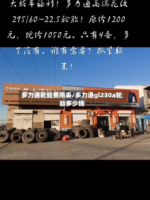 多力通轮胎费用表/多力通gl230a轮胎多少钱-第1张图片