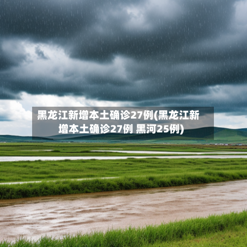 黑龙江新增本土确诊27例(黑龙江新增本土确诊27例 黑河25例)-第1张图片