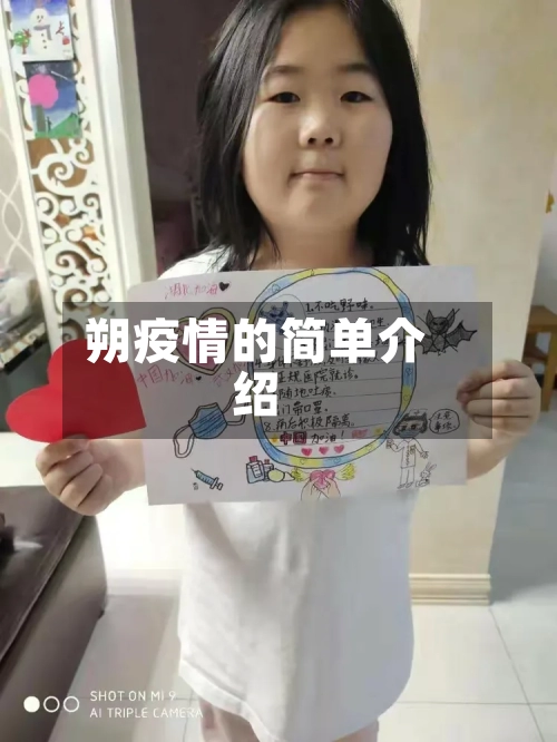 朔疫情的简单介绍-第1张图片