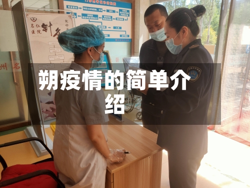 朔疫情的简单介绍-第2张图片