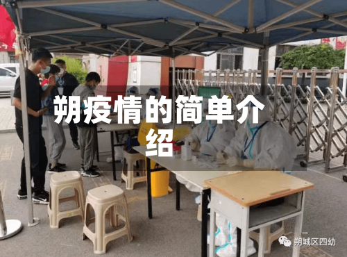 朔疫情的简单介绍-第3张图片
