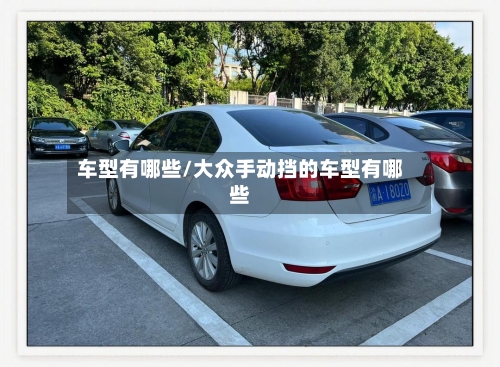 车型有哪些/大众手动挡的车型有哪些-第3张图片