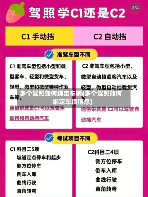 多个驾照如何绑定车辆(多个驾照如何绑定车辆信息)-第1张图片