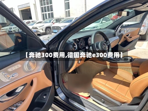 【奔驰300费用,德国奔驰e300费用】-第1张图片