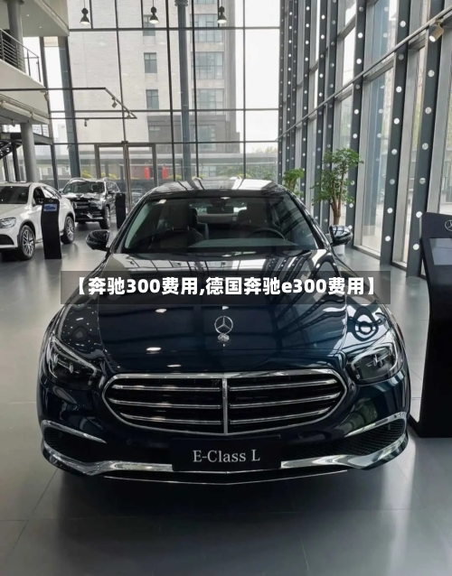 【奔驰300费用,德国奔驰e300费用】-第2张图片