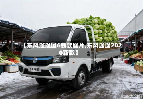 【东风途逸国6新款图片,东风途逸2020新款】-第1张图片
