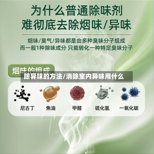 除异味的方法/消除室内异味用什么-第2张图片
