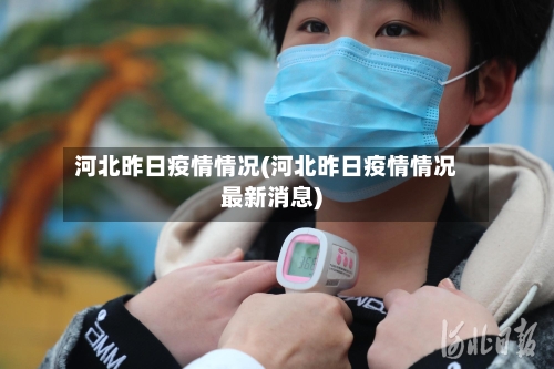 河北昨日疫情情况(河北昨日疫情情况最新消息)-第2张图片