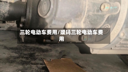 三轮电动车费用/瑷玛三轮电动车费用-第2张图片