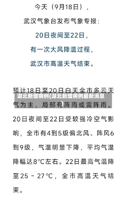 湖北新增病例(湖北新增病例最新消息)-第2张图片