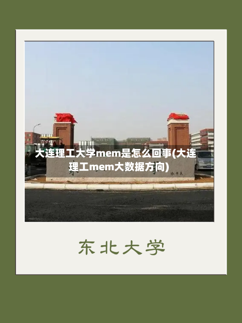 大连理工大学mem是怎么回事(大连理工mem大数据方向)-第1张图片