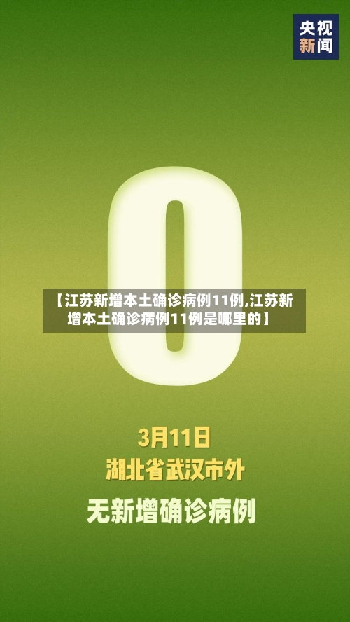 【江苏新增本土确诊病例11例,江苏新增本土确诊病例11例是哪里的】-第2张图片