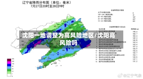沈阳一地调整为高风险地区/沈阳高风险吗-第3张图片