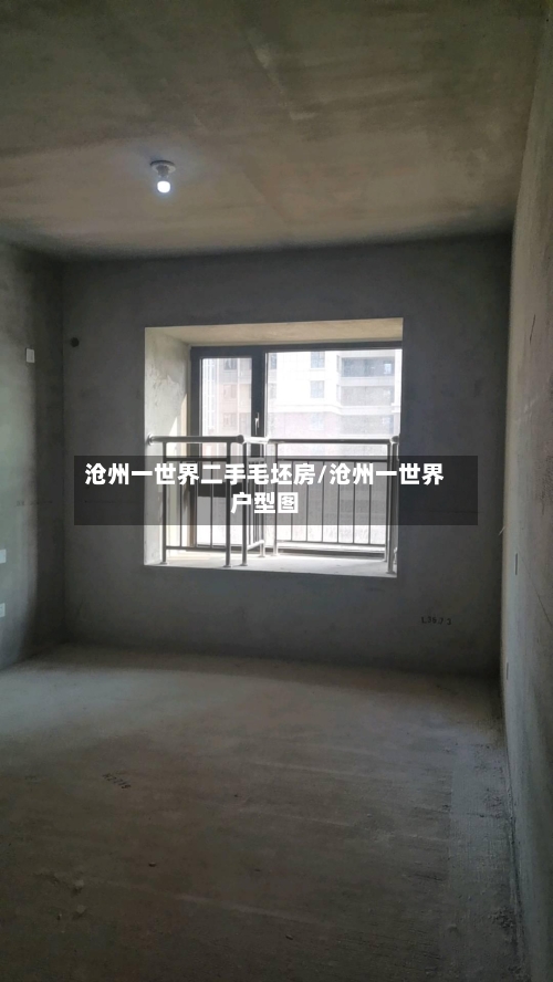 沧州一世界二手毛坯房/沧州一世界户型图-第2张图片