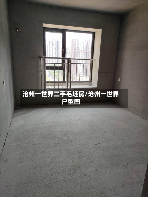 沧州一世界二手毛坯房/沧州一世界户型图-第1张图片
