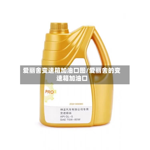 爱丽舍变速箱加油口图/爱丽舍的变速箱加油口-第2张图片