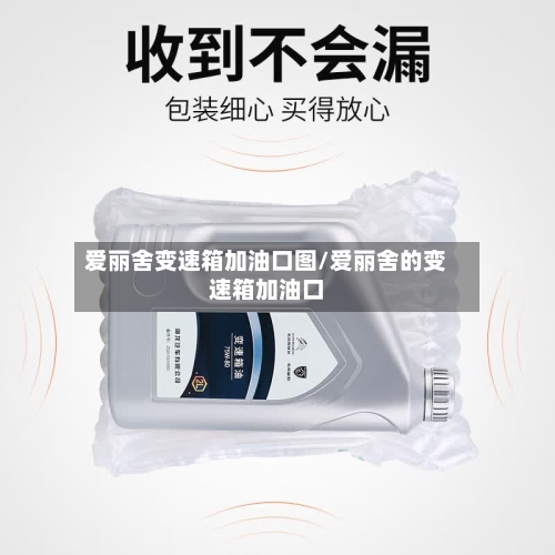 爱丽舍变速箱加油口图/爱丽舍的变速箱加油口-第1张图片