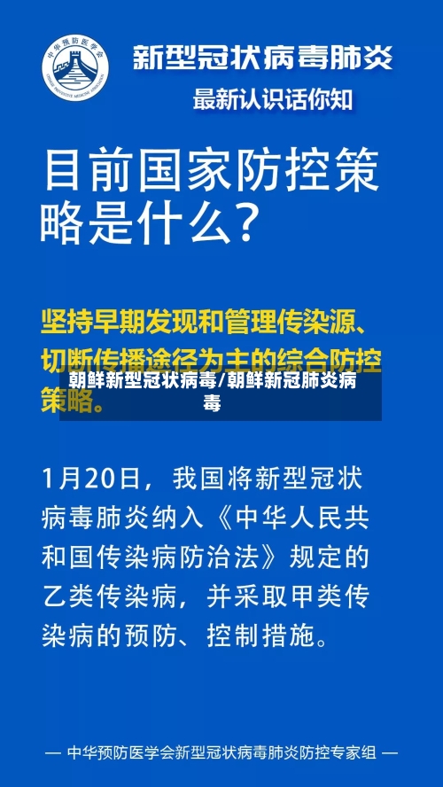 朝鲜新型冠状病毒/朝鲜新冠肺炎病毒-第2张图片