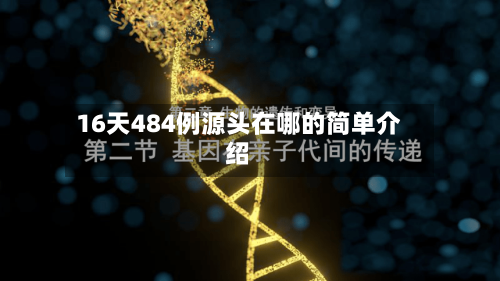 16天484例源头在哪的简单介绍-第2张图片