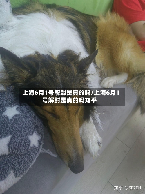 上海6月1号解封是真的吗/上海6月1号解封是真的吗知乎-第2张图片